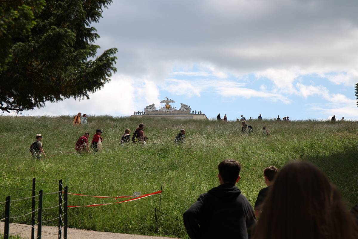 Heads of people peek above tall grass