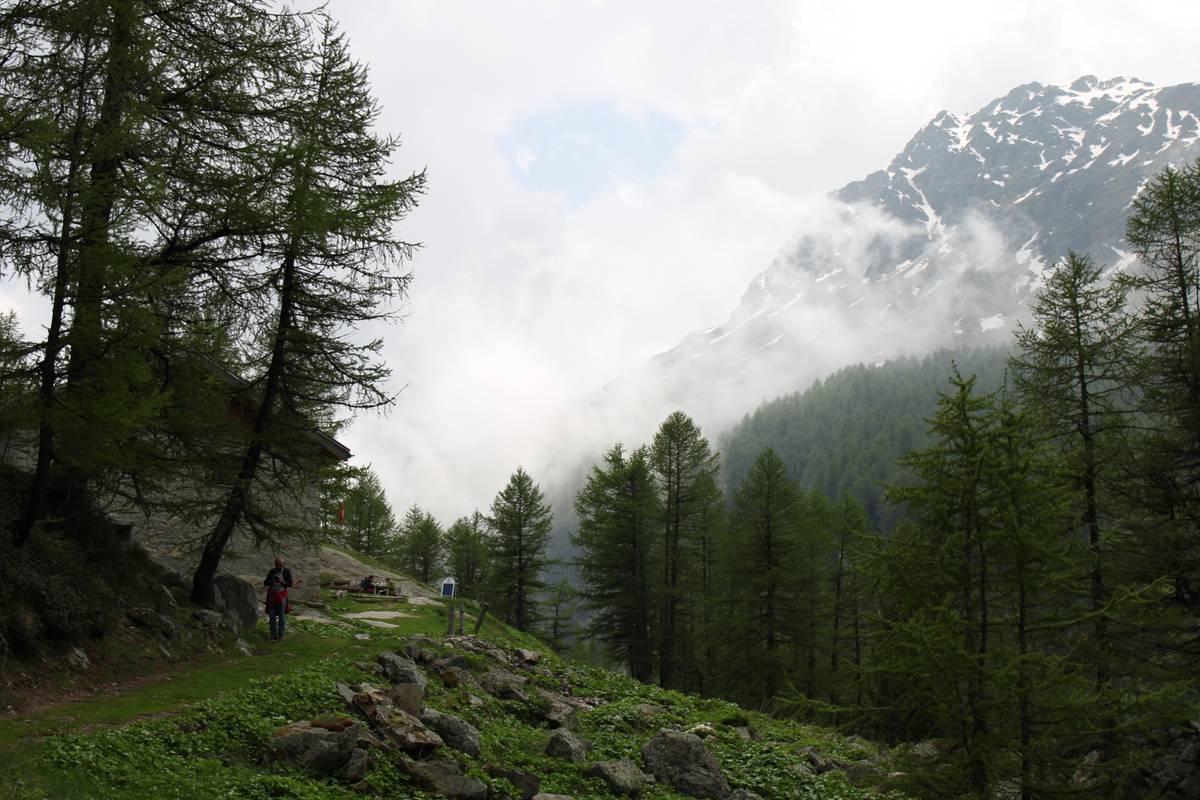 My dad walks down a grassy pathway with the restaurant building to the left of him